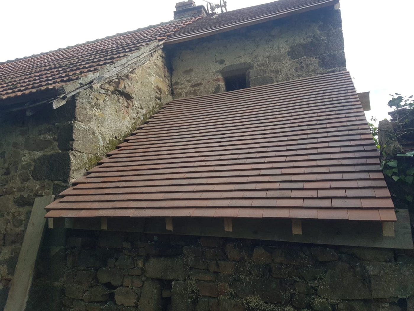 Démoussage et nettoyage toiture à Domérat